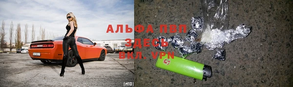 стаф Балахна