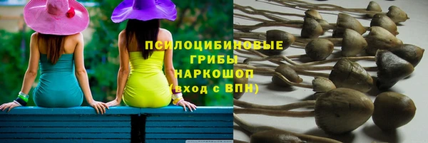 стаф Балахна