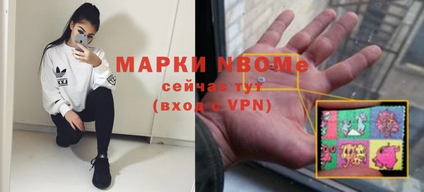 шишки Покачи