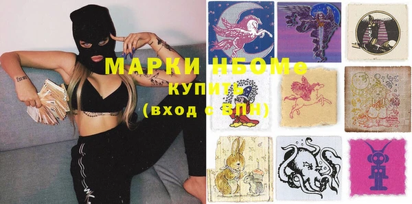 стаф Балахна
