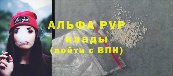 стаф Балахна